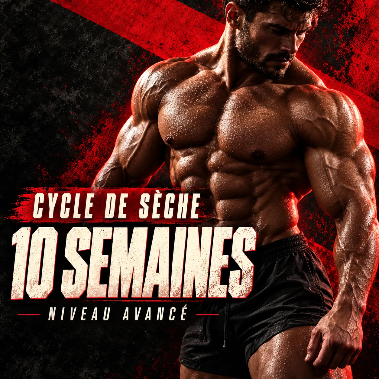 Cycle-de-seche-de-10-semaines-hilma-biocare 10 Week Cutting Cycle – Advanced Level - Image 1